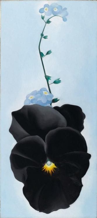 Artwork Title: Black Pansy & Forget-Me-Nots (Pansy)
