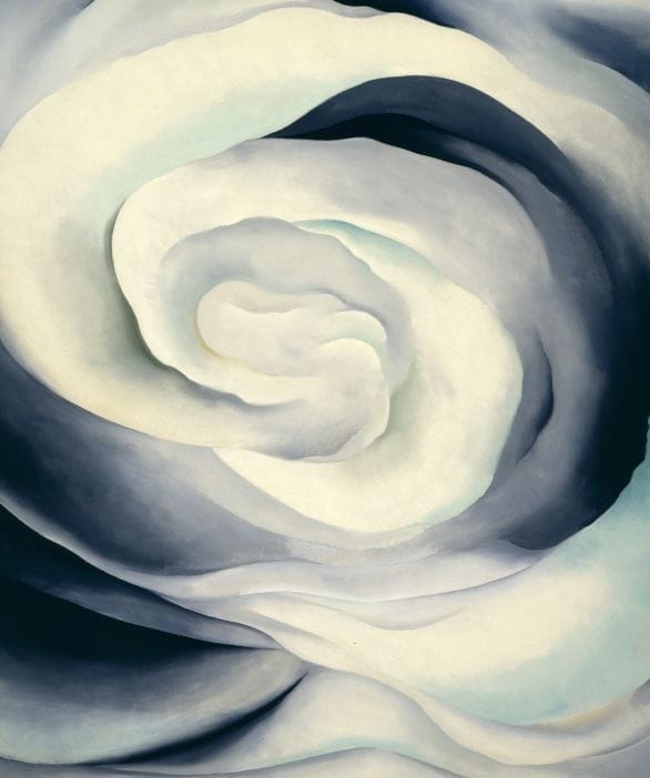 Artwork Title: Abstraction White Rose