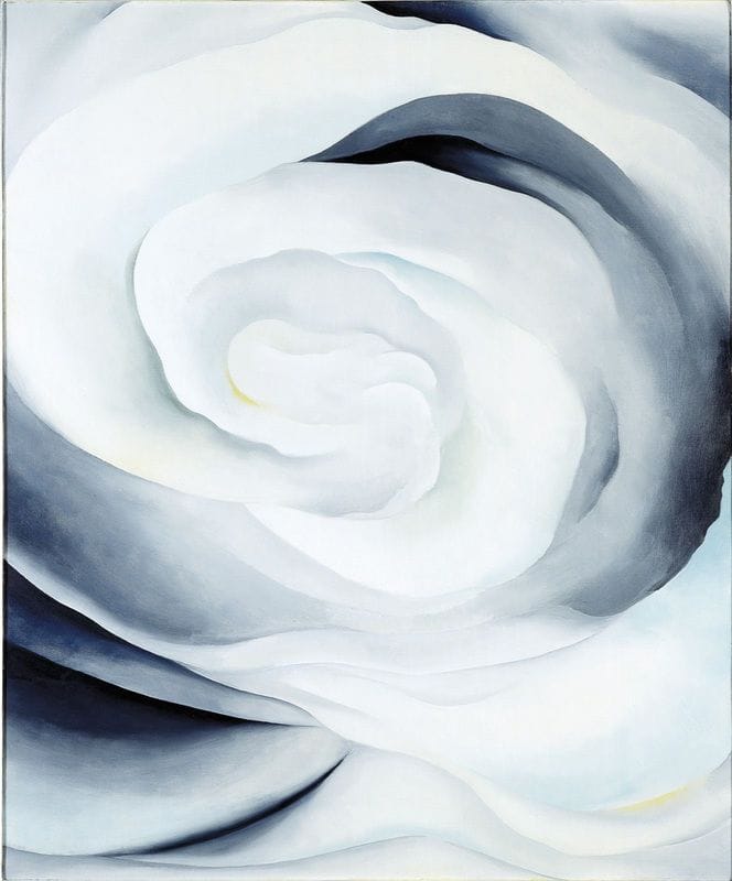 Artwork Title: Abstraction White Rose