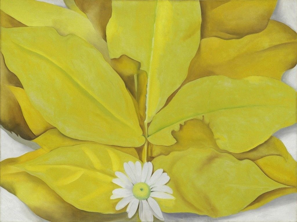 Artwork Title: Yellow Hickory Leaves With Daisy