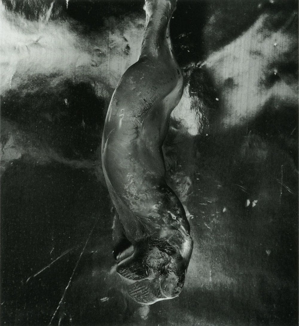 Artwork Title: Melted Bottle