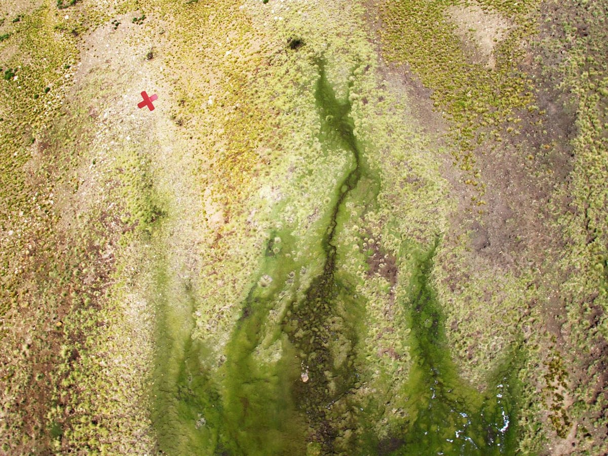 Artwork Title: We Drift - Peru