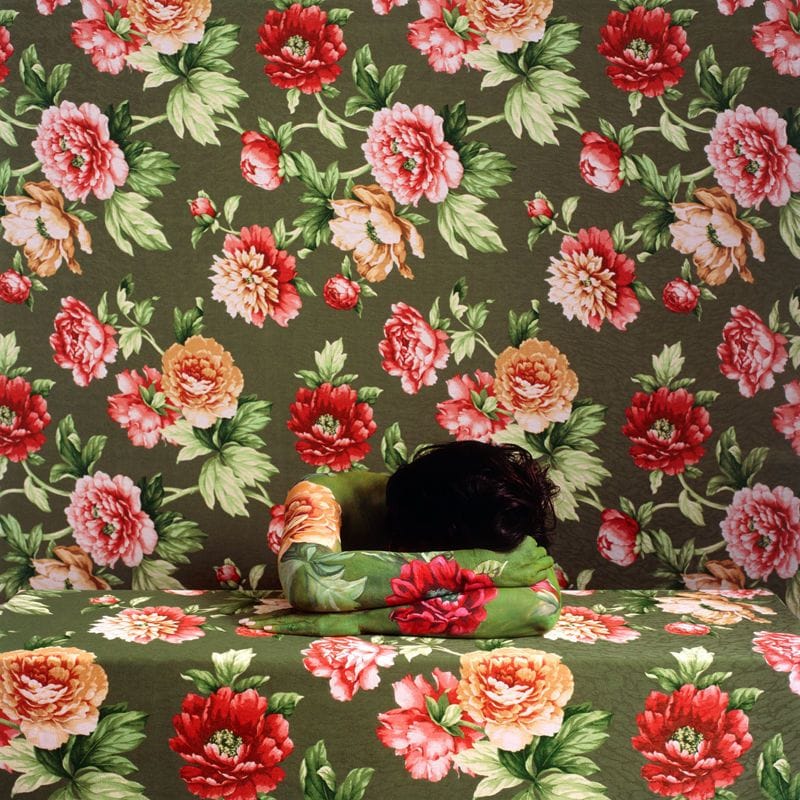 Artwork Title: Dreaming Rose