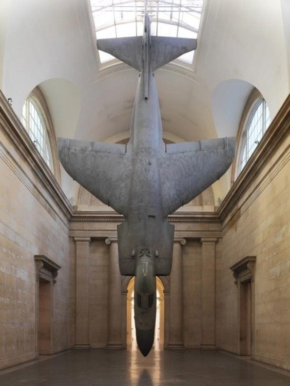 Artwork Title: Harrier And Jaguar