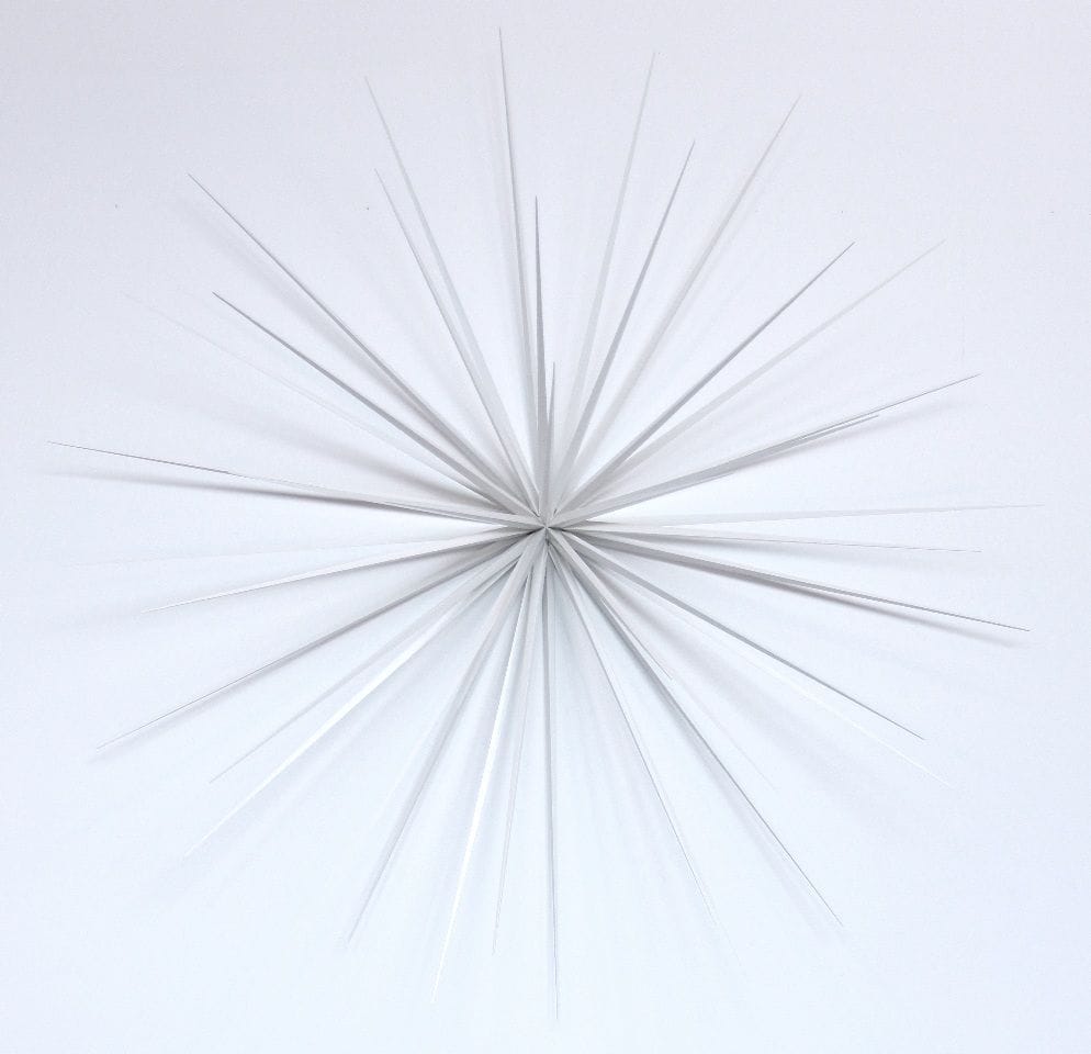 Artwork Title: Wall Flower No.5