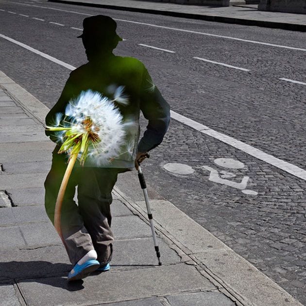 Artwork Title: Dandilion