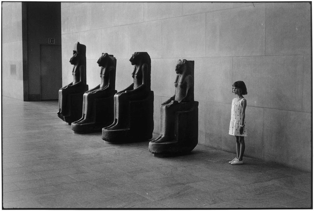 Artwork Title: Metropolitan Museum Of Art, NY