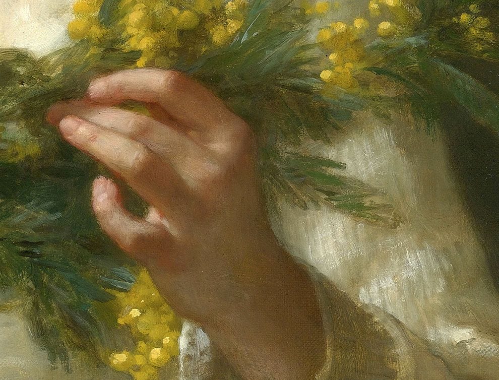 Artwork Title: The Mimosa Flower