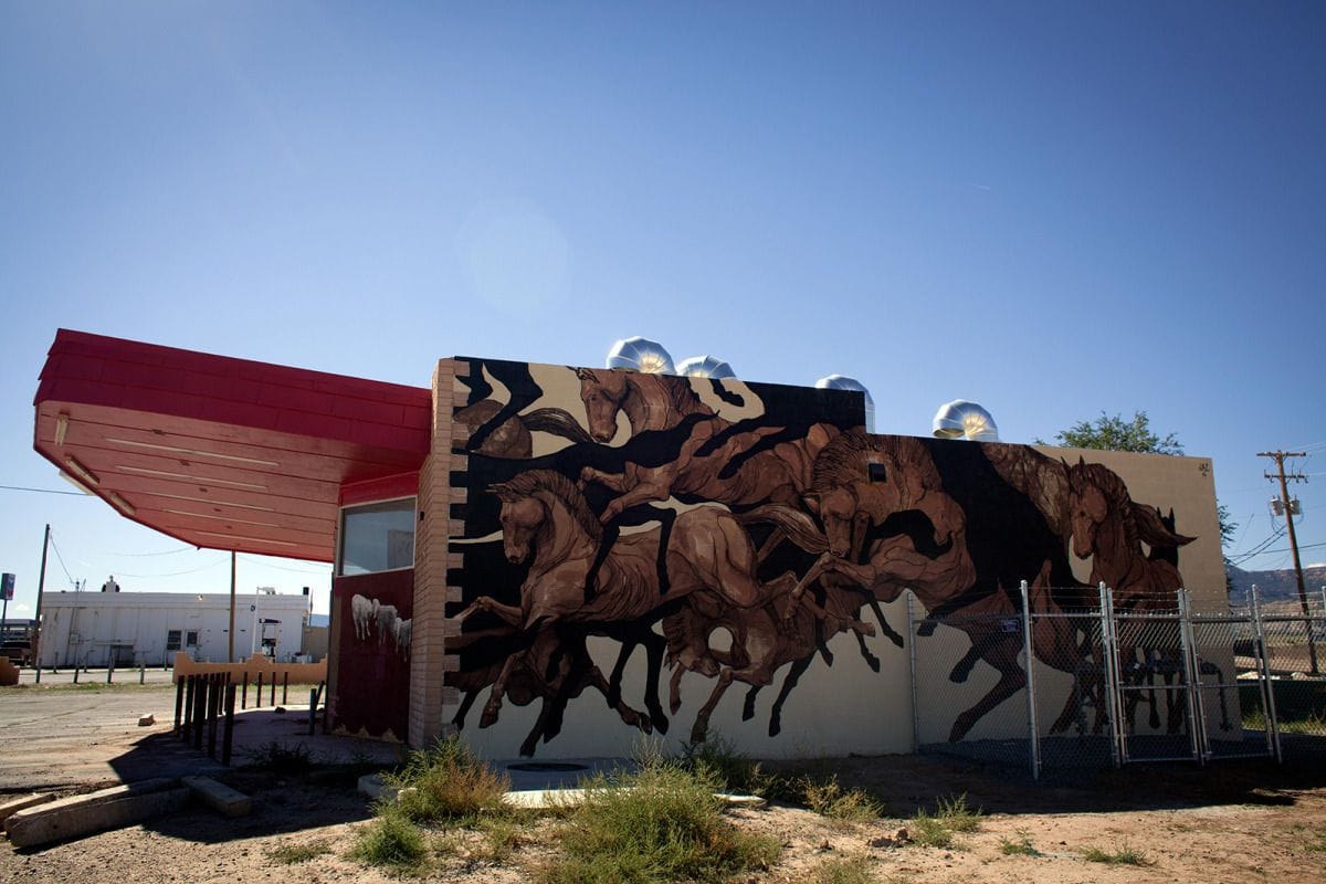 Artwork Title: The Painted Desert Project