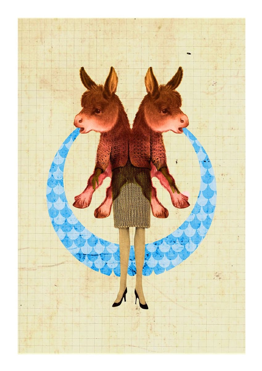 Artwork Title: Donkey Collage Set