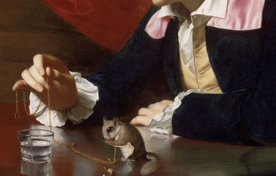 Artwork Title: A Boy with a Flying Squirrel (Henry Pelham)