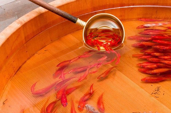 Artwork Title: Three-dimensional Goldfish