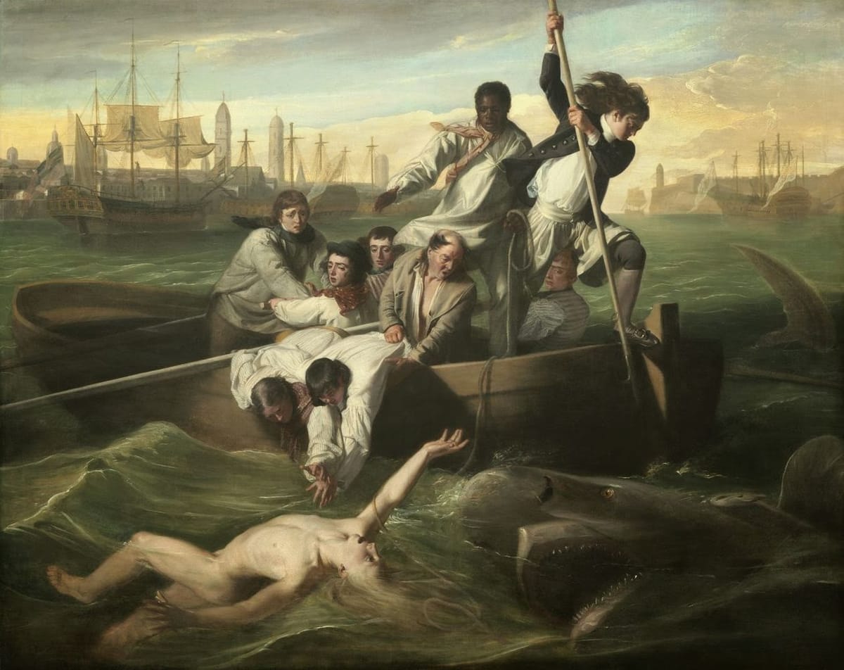 Artwork Title: Watson And The Shark