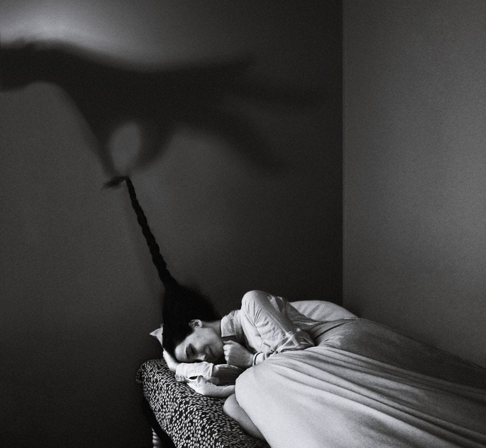Artwork Title: Nightmare