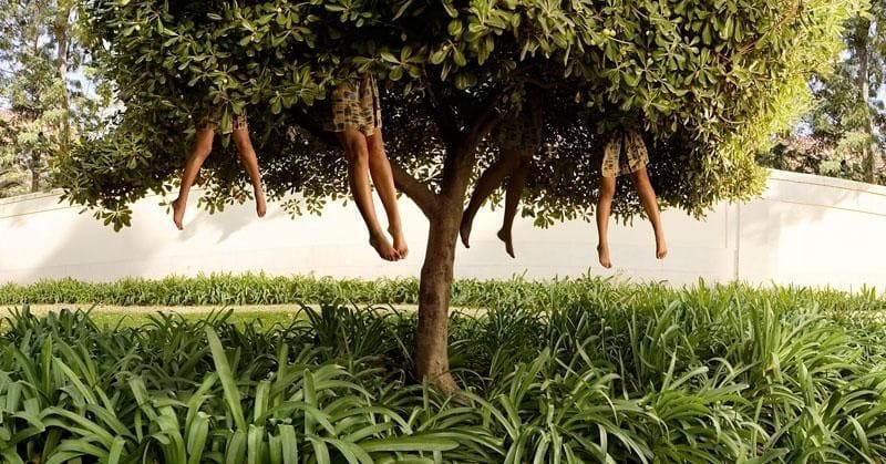 Artwork Title: Lissabon - Tree