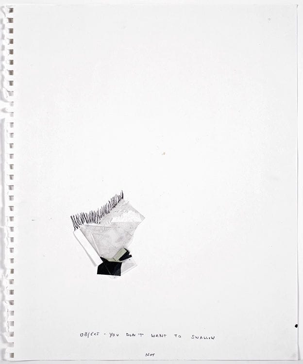 Artwork Title: Object You Don't Want to Swallow