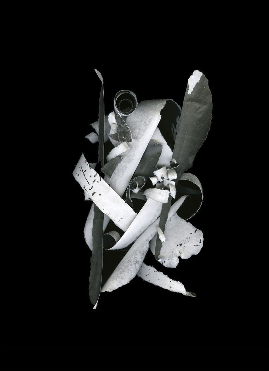 Artwork Title: Re Collection Series