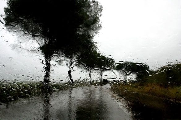 Artwork Title: Rain #27