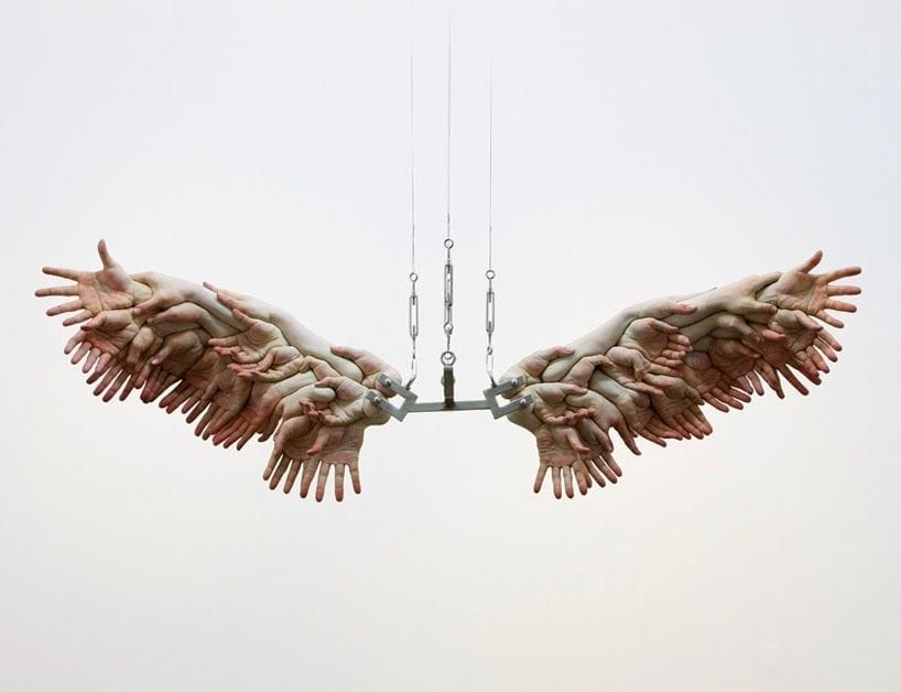 Artwork Title: Wing