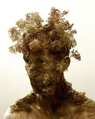 Artwork Title: Landscape Iii