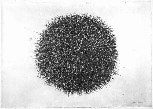 Artwork Title: Thing 04-20