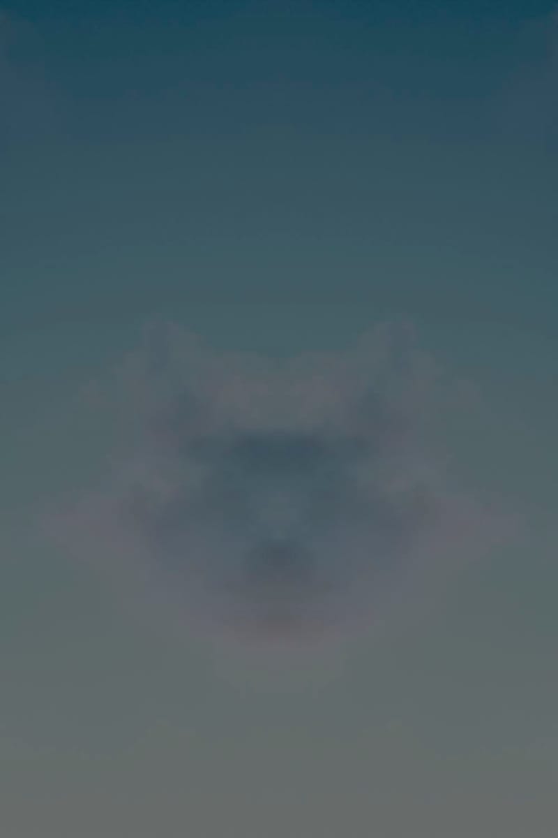 Artwork Title: Rorschachcloud 81