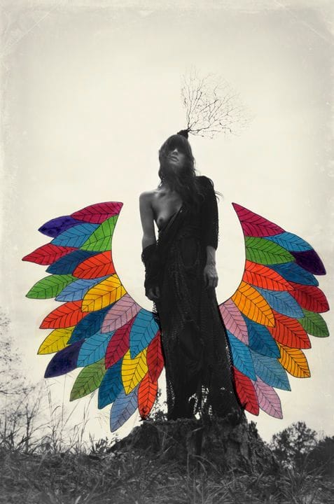 Artwork Title: undefined