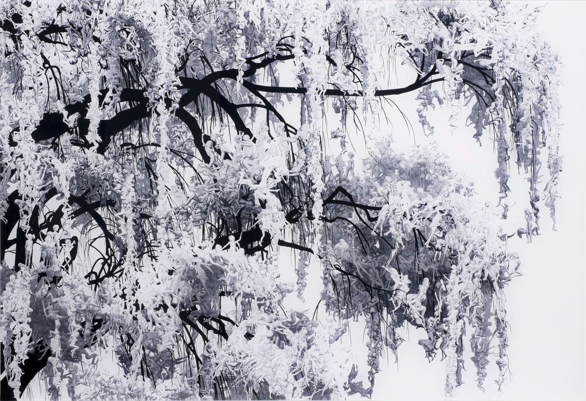Artwork Title: Willow
