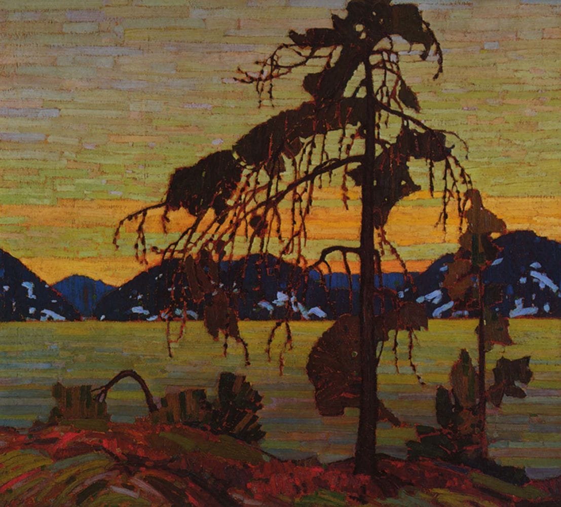 Artwork Title: Jack Pine
