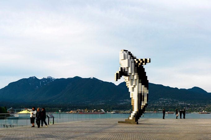 Artwork Title: Orca