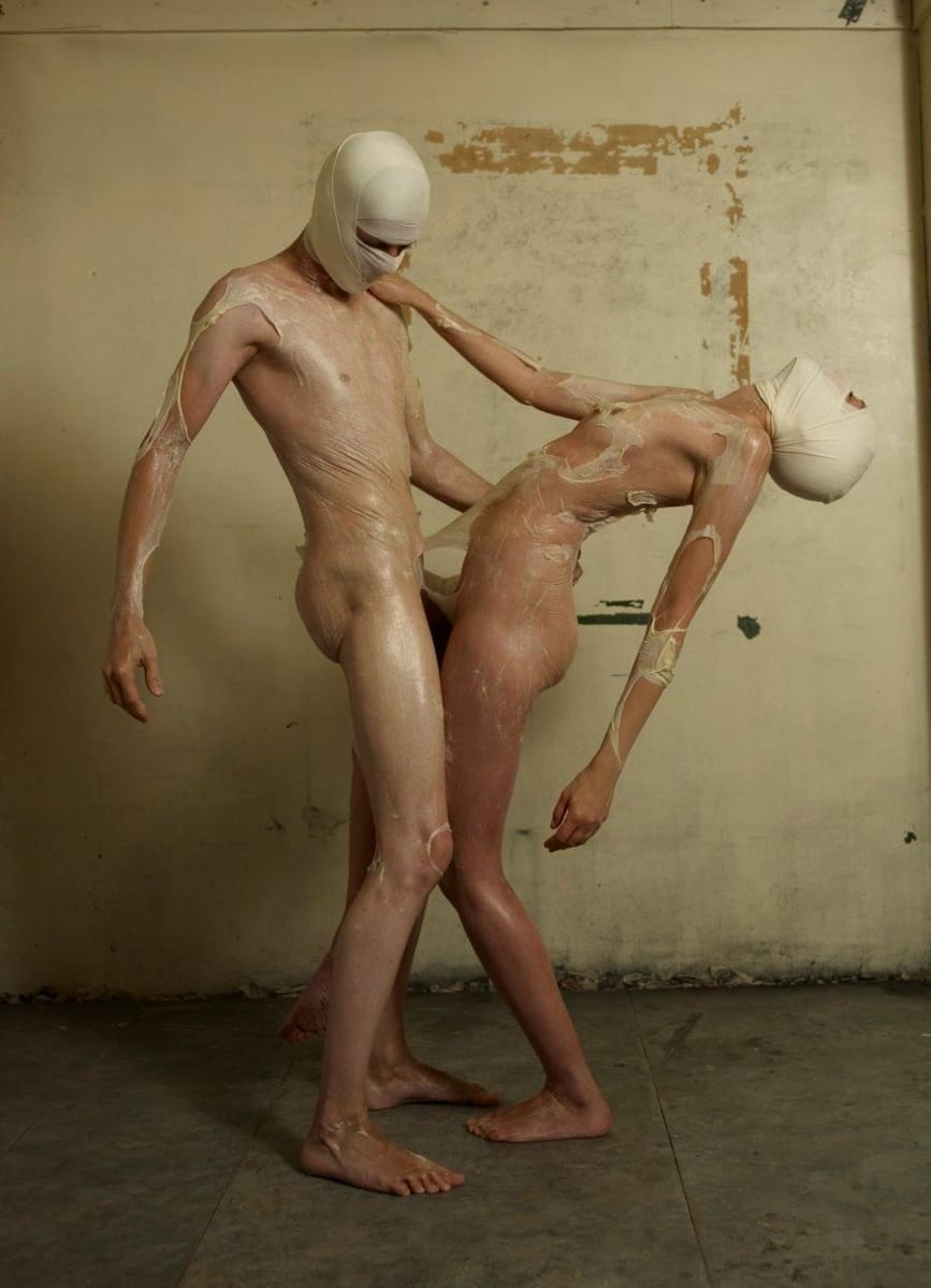 Artwork Title: Transfera 1.5