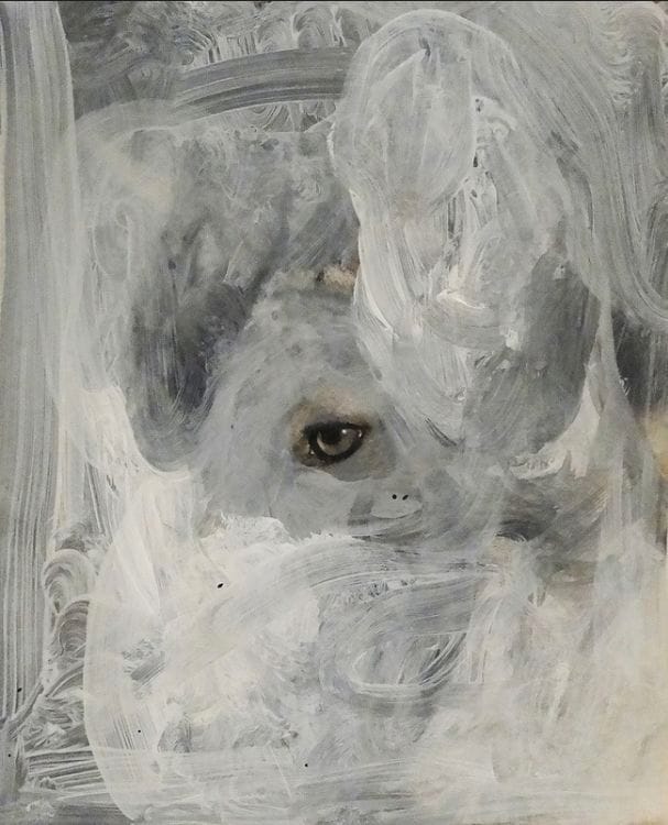 Artwork Title: undefined