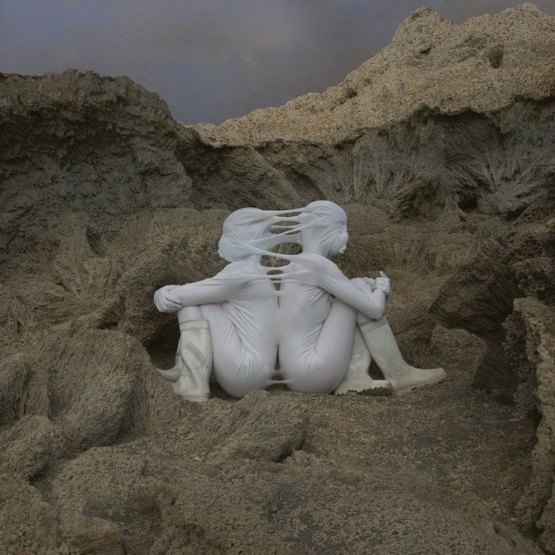 Artwork Title: Kahn & Selesnick