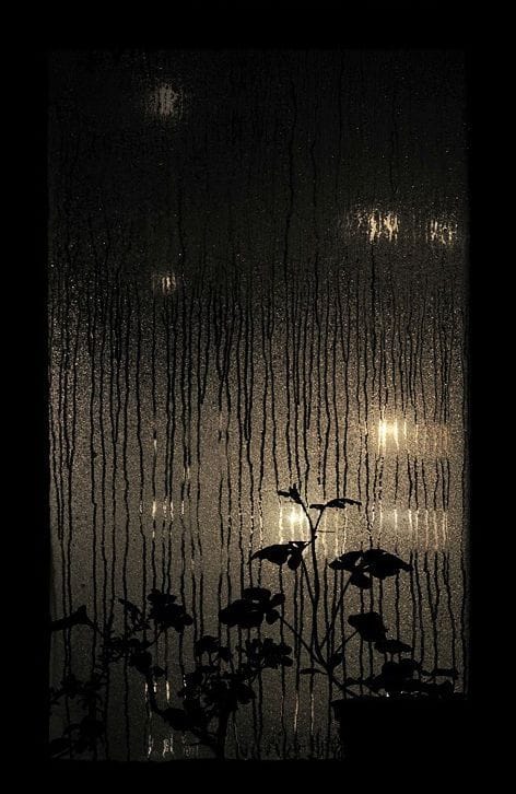 Artwork Title: Rain