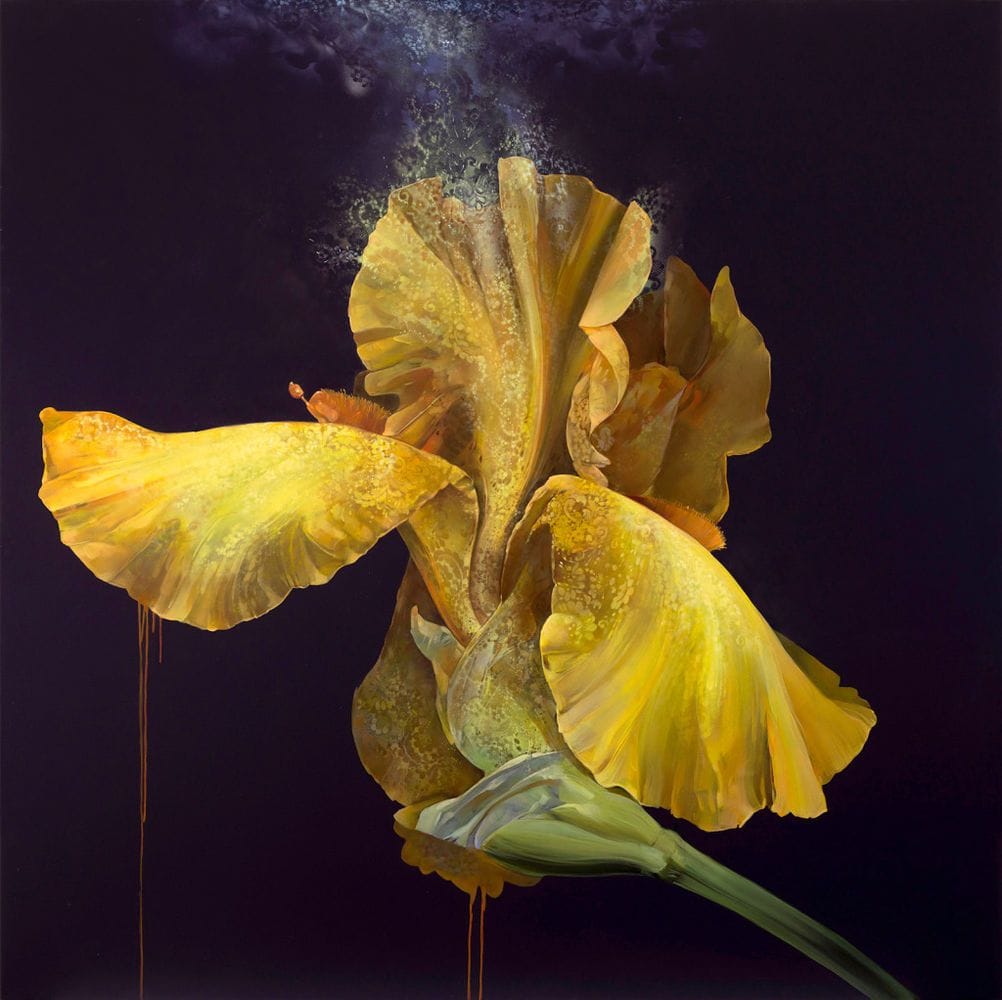 Artwork Title: Flower