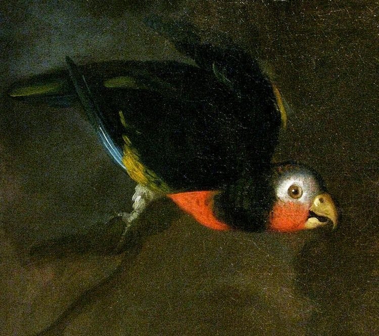 Artwork Title: Girl With Parrot