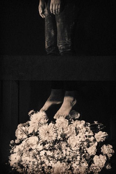 Artwork Title: Apotheosis