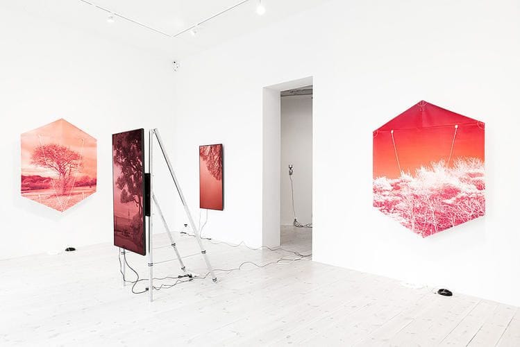 Artwork Title: Kites & Websites