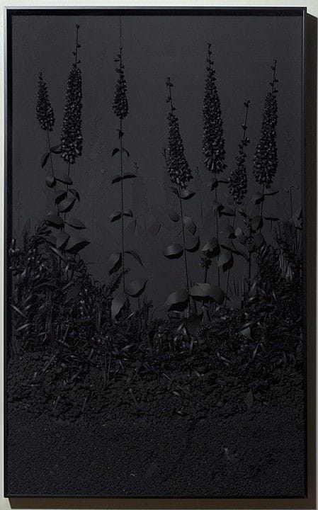 Artwork Title: A Collection of Various Botanical Forms