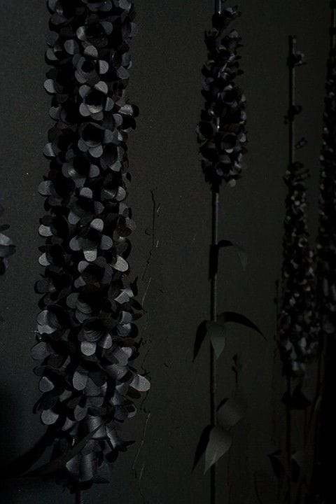 Artwork Title: A Collection of Various Botanical Forms
