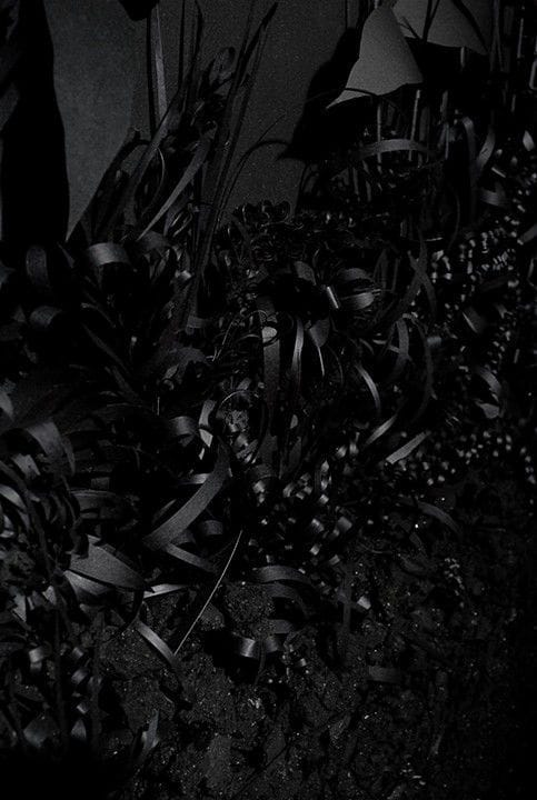 Artwork Title: A Collection of Various Botanical Forms