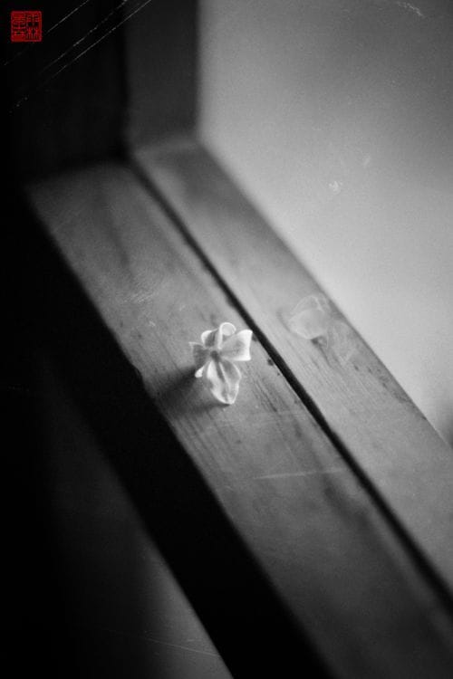 Artwork Title: Inexpressible