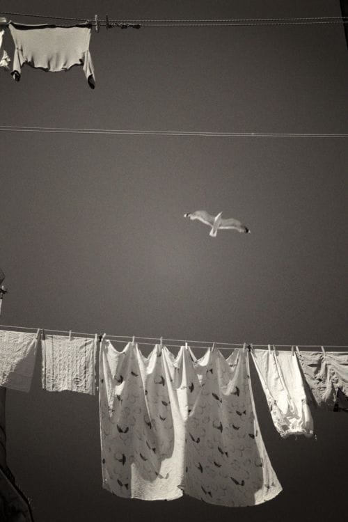 Artwork Title: Laundry Day In Venice