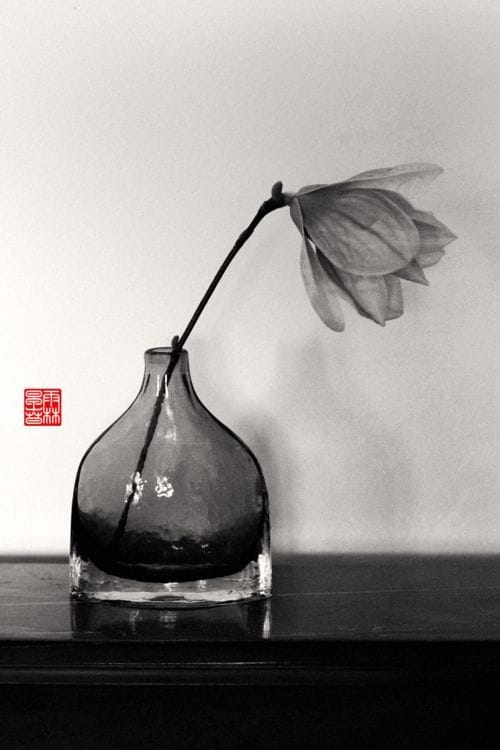 Artwork Title: Breath Of Spring