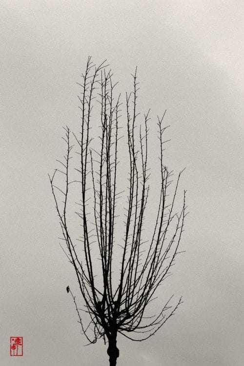 Artwork Title: February