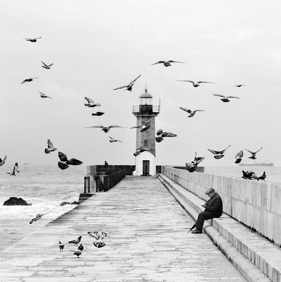 Artwork Title: Hitchcock And His Birds