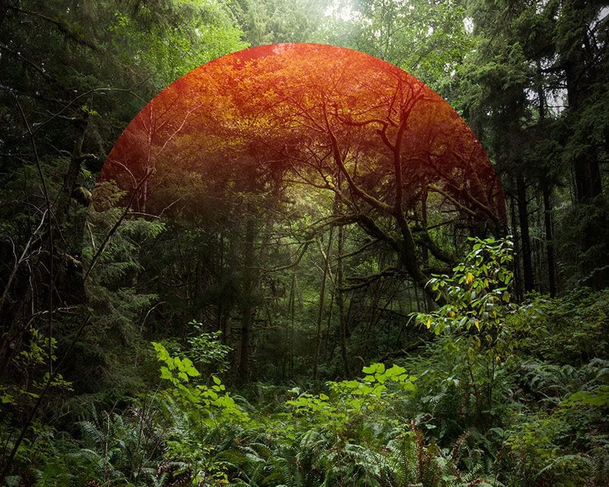 Artwork Title: undefined