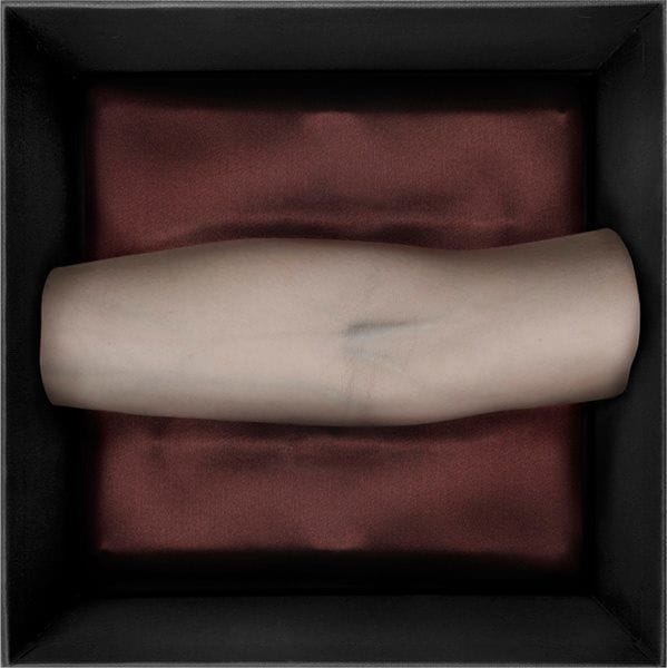 Artwork Title: Hieroglyph of my body