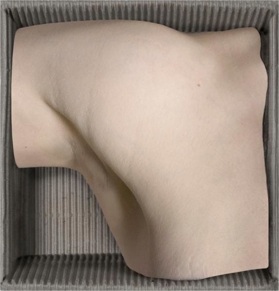 Artwork Title: Hieroglyph of my body