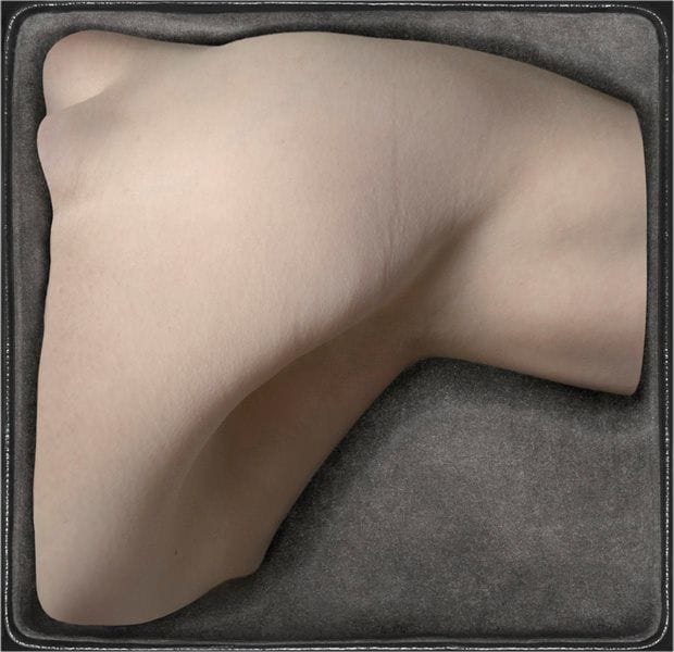 Artwork Title: Hieroglyph of my body